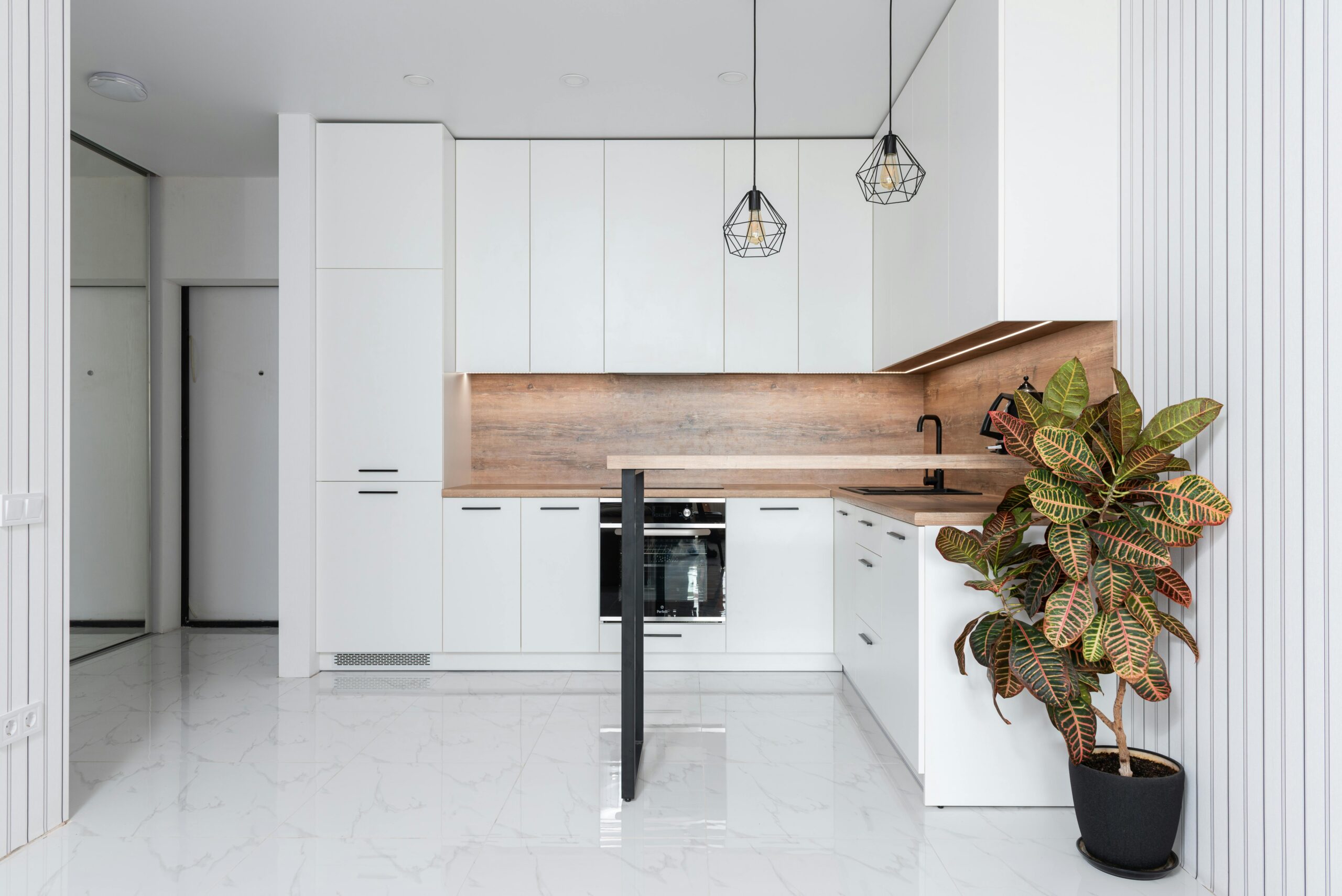 A bright, contemporary kitchen featuring minimalist design and decorative plants.